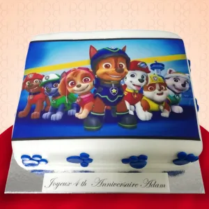 Paw Patrol image